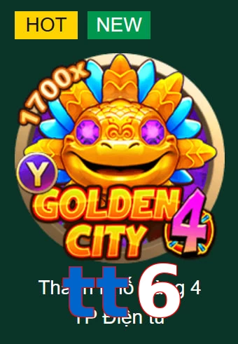 tt6