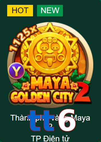 tt6