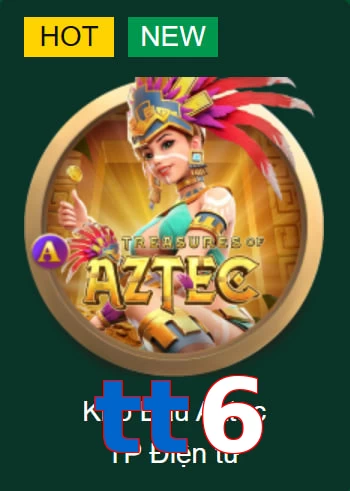 tt6