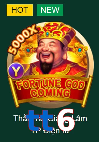 tt6